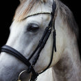 Load image into Gallery viewer, Reithalfter York - Ascot Reitsportschwarz matt mit silbernen Beschlägen