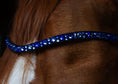 Load image into Gallery viewer, Slim-Stirnriemen Lucky (Nr. 7.) mit blauen Strasssteinen von der Marke Ascot Reitsportartikel.