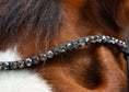 Load image into Gallery viewer, Hochwertiger Stirnriemen Devine (Nr. 4.) mit funkelnden anthrazitfarbenen Strasssteinen von der Marke Ascot Reitsportartikel.