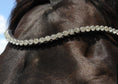 Load image into Gallery viewer, Stirnriemen Diamond (Nr. 5.) - Ascot Reitsport5.1 (klar)