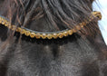 Load image into Gallery viewer, Stirnriemen Diamond (Nr. 5.) - Ascot Reitsport5.2 (gold)