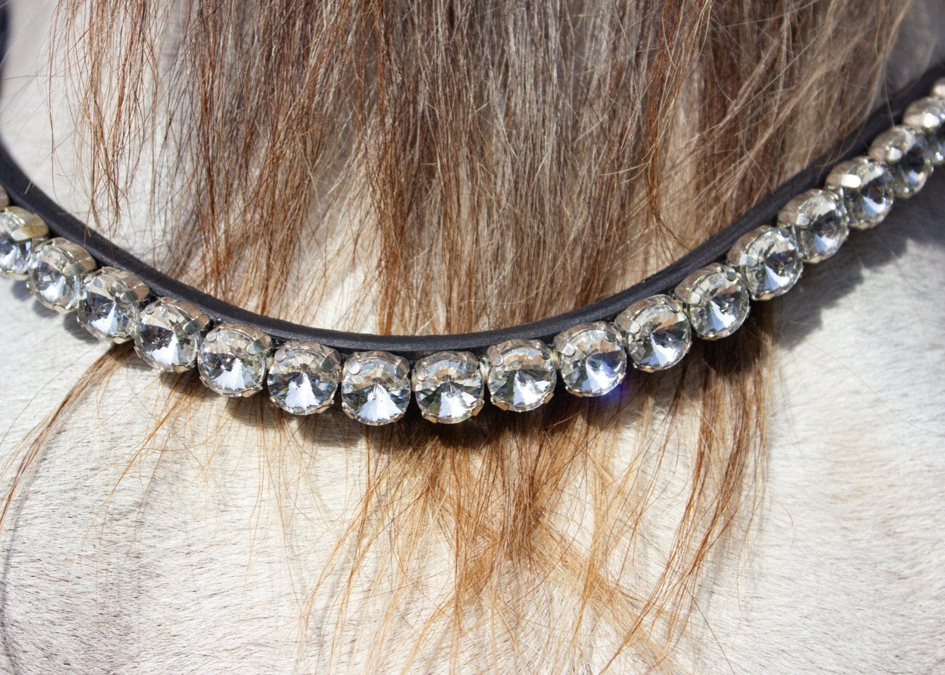 Stirnriemen Majestic (Nr. 9.) - Ascot Reitsport9.2 (klar)