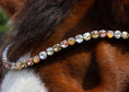 Load image into Gallery viewer, Glitzerstirnriemen Majestic (Nr. 9.) mit dicken silber mit sparkle/ goldfarbenen Steinen von der Marke Ascot Reitsportartikel