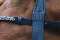 Load image into Gallery viewer, Stirnriemen mit Schnellwechselsystem - Ascot ReitsportDevine 4.2 (klar)