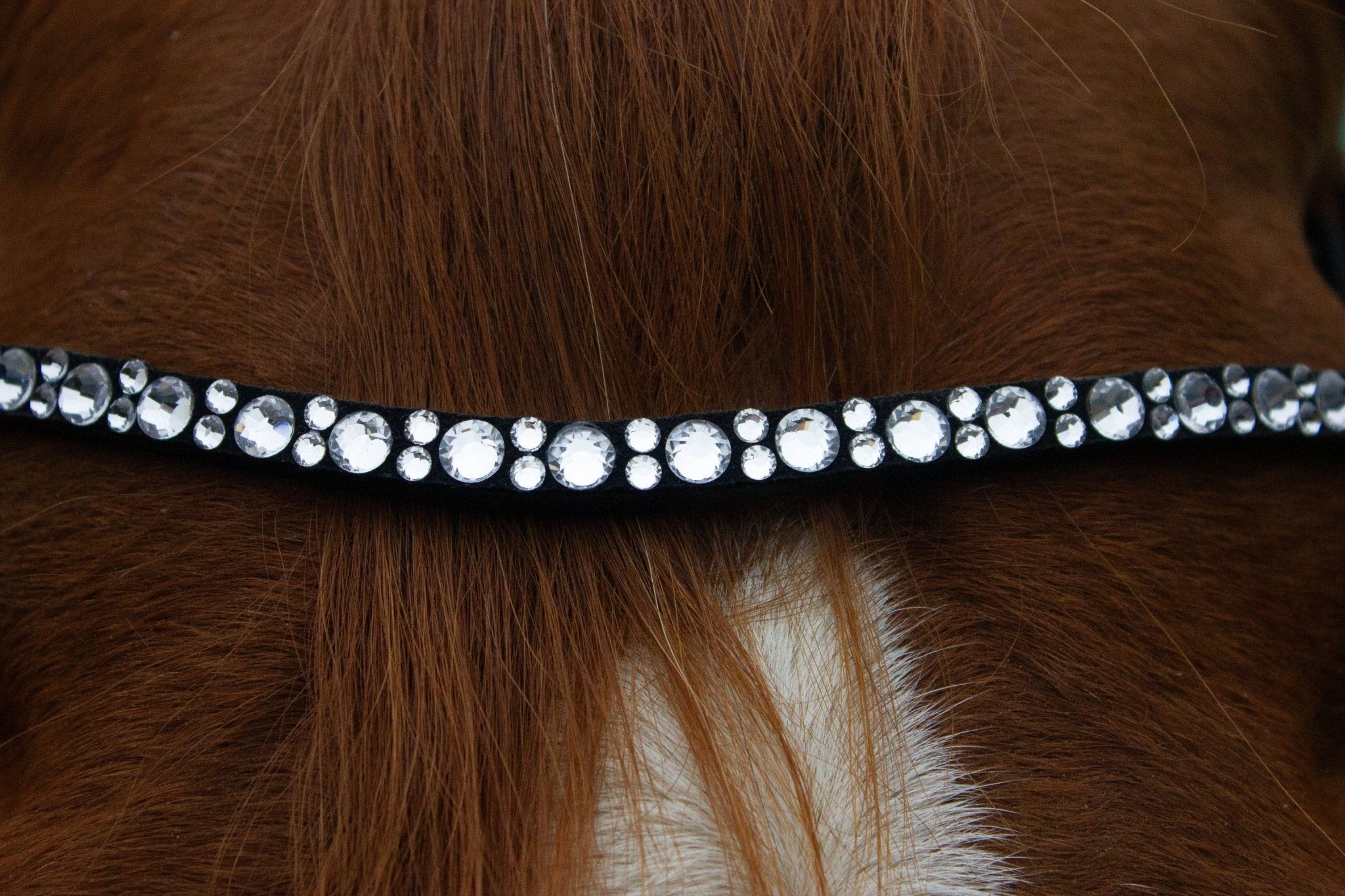 Stirnriemen mit Schnellwechselsystem - Ascot ReitsportHappy 6.1 (klar)