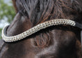Load image into Gallery viewer, Mehrreihig glitzernder schwarzer Lederstirnriemen von der Marke Ascot Reitsportartikel.