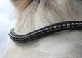 Load image into Gallery viewer, Stirnriemen Shine (Nr. 10.) - Ascot Reitsport10.2 (schwarz)