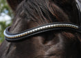 Load image into Gallery viewer, Stirnriemen SimplyChic (Nr. 13.) - Ascot Reitsport13.1 (Silber)