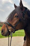 Bild in Galerie-Betrachter laden, Trense Melbourne - Ascot Reitsportschwarz matt mit silbernen Beschlägen