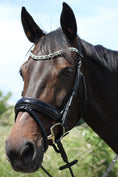 Bild in Galerie-Betrachter laden, Anatomische halbrunde Trense Melbourne schwarz lack/ kroko mit silbernen Beschlägen von der Marke Ascot Reitsportartikel.