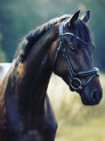 Bild in Galerie-Betrachter laden, Anatomische halbrunde Trense Melbourne schwarz lack mit silbernen Beschlägen von der Marke Ascot Reitsportartikel.