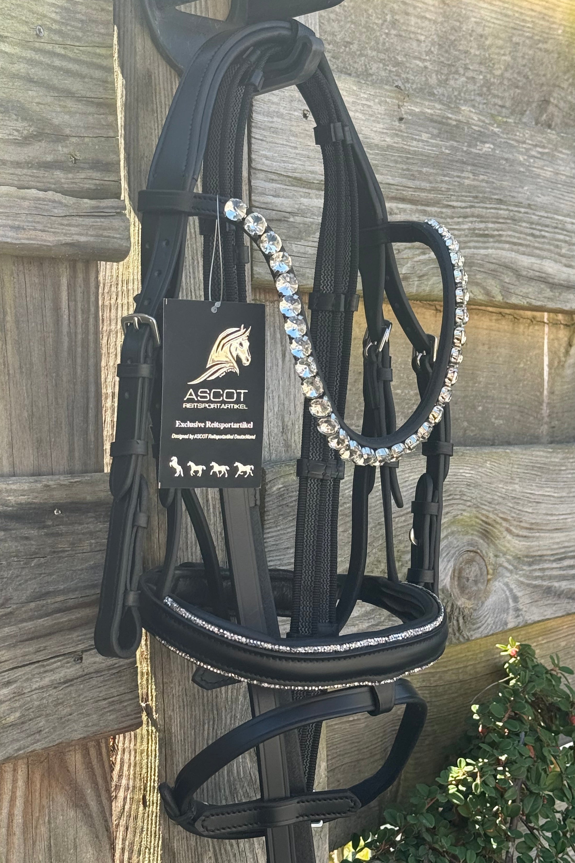 Bridles for the little ones
