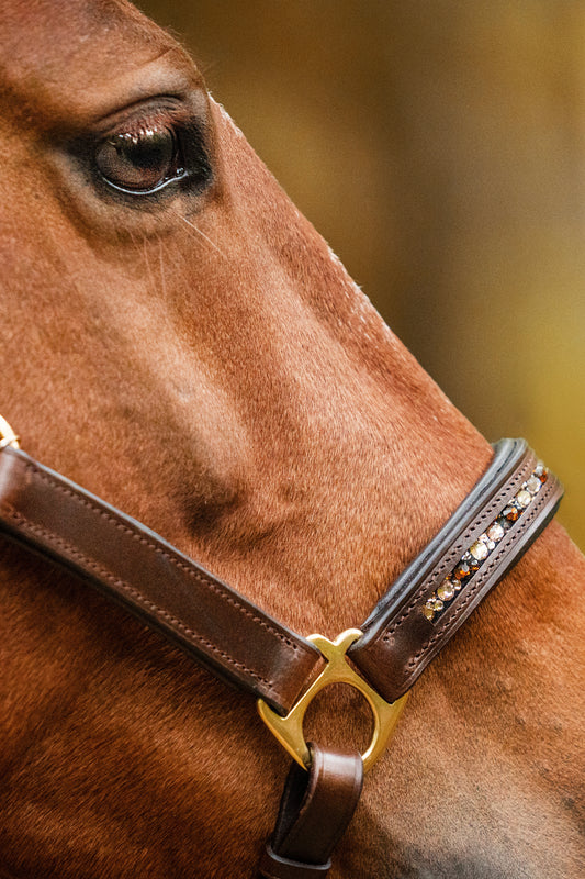 Lederhalfter mit innenliegenden Strasssteinen