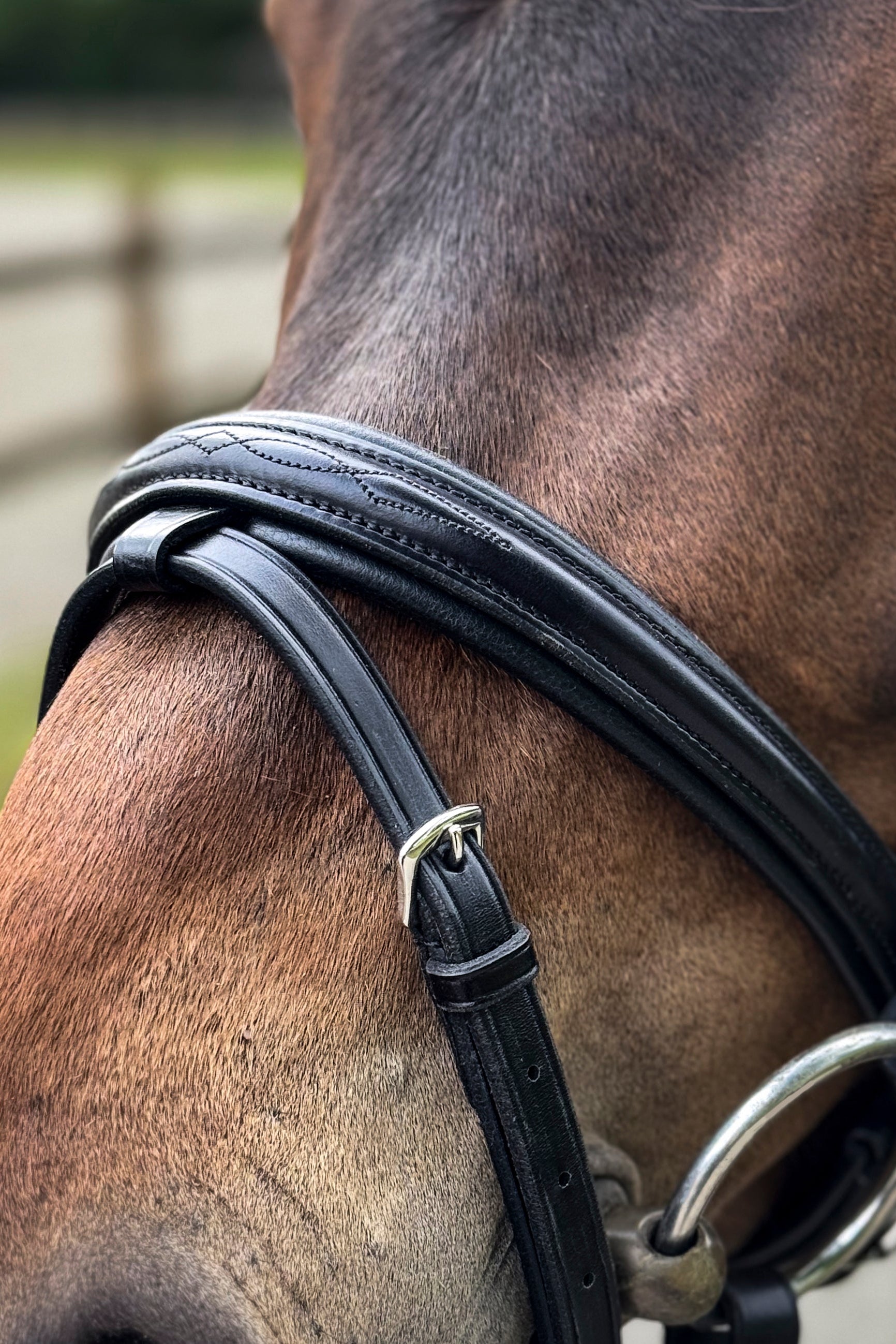 Trense Aachen