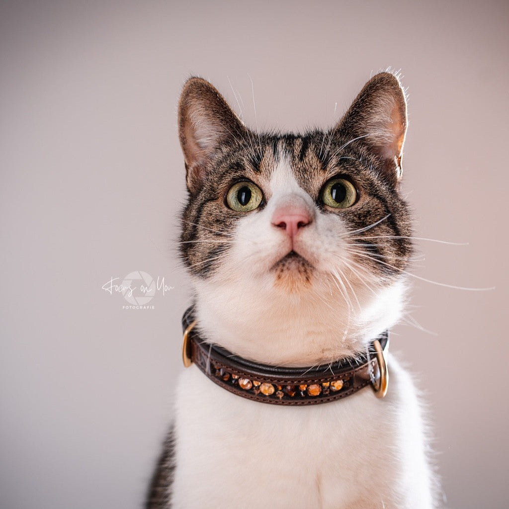 Braunes Hundehalsband mit innenliegenden Strasssteinen