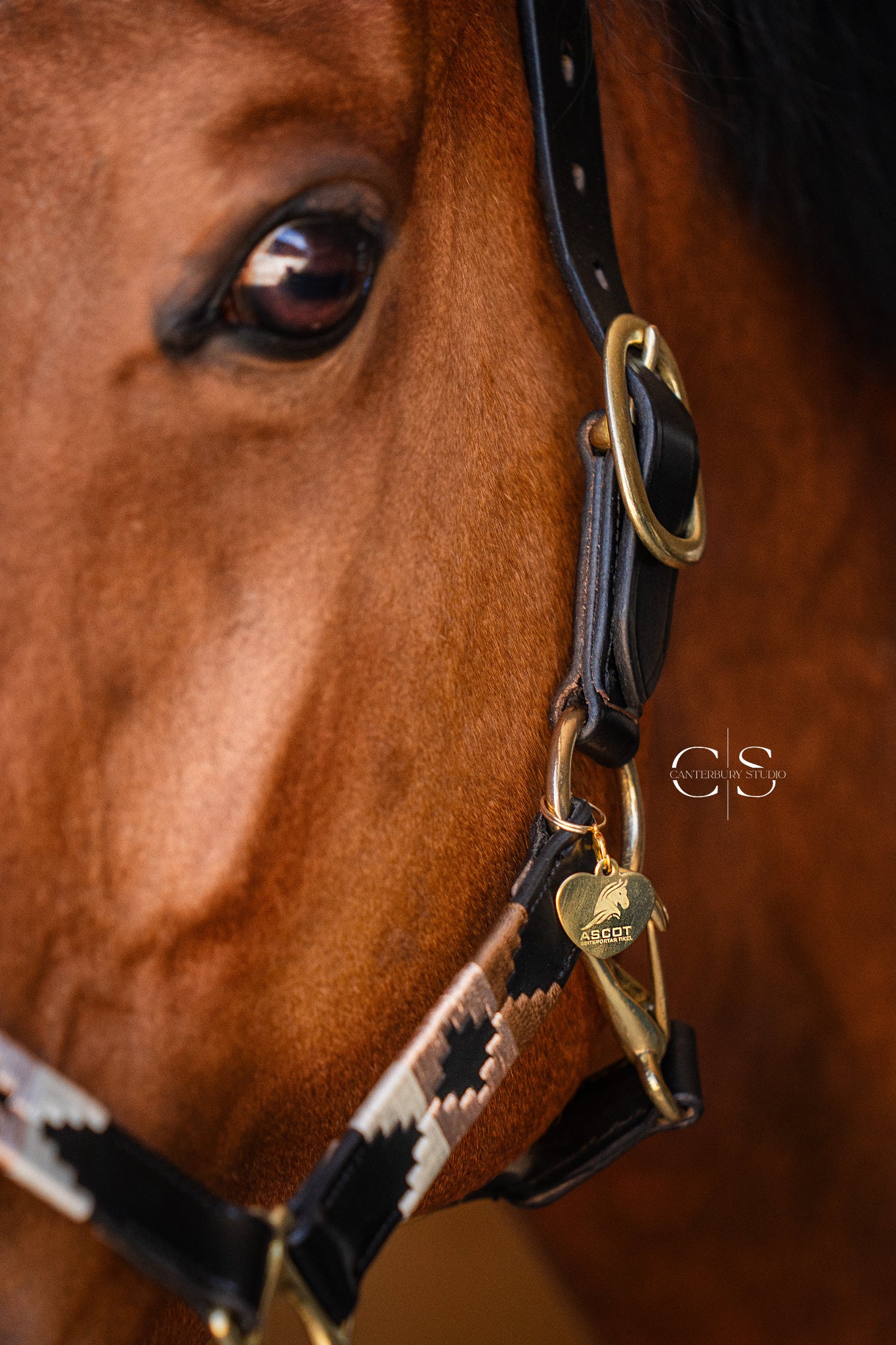 Leather halter in polo design