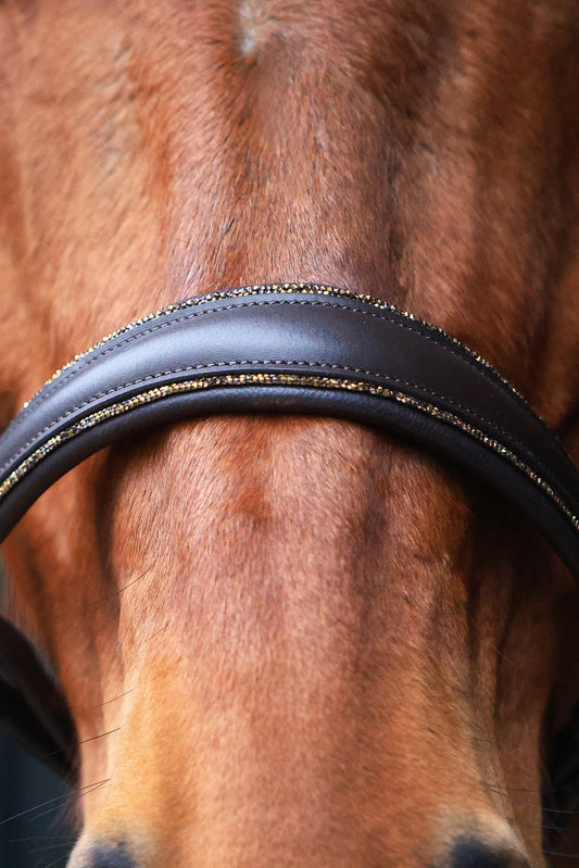 Lederhalfter Saint-Tropez