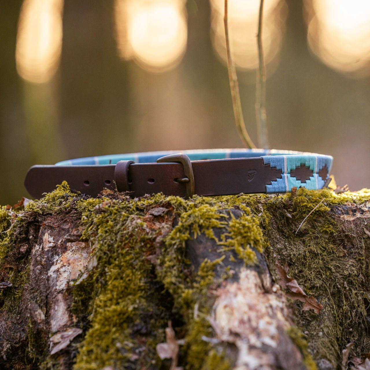 brauner Gürtel im Polo-Design