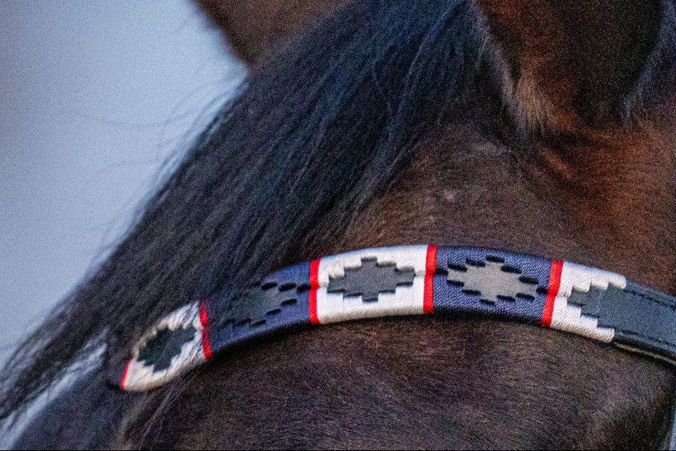 Stirnriemen im Polo-Design (Nr. 15.)