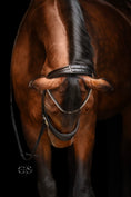 Bild in Galerie-Betrachter laden, Trense Falsterbo
