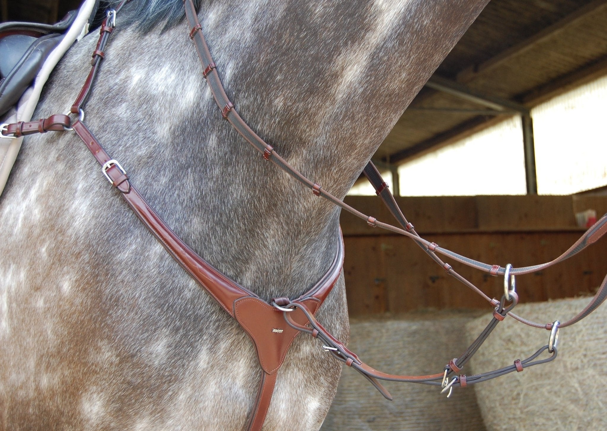 3-Punkt Vorderzeug Aachen in braunrot mit silbernen Beschlägen von der Marke Ascot Reitsportartikel - pflanzlich gegerbt.