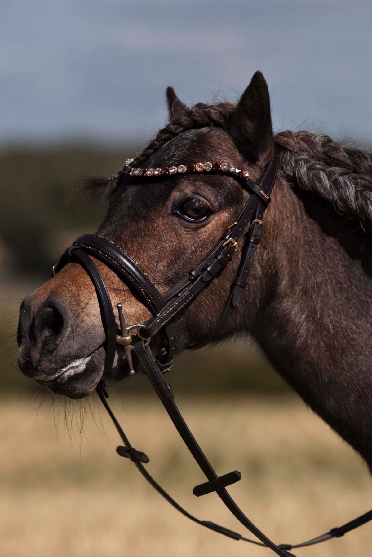 Bridles for the little ones