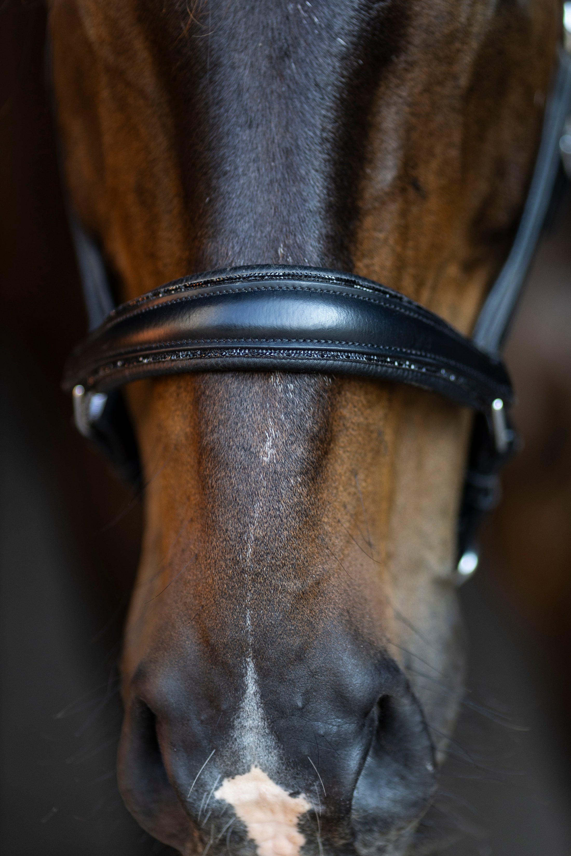 Leather halter with patent and rhinestone noseband