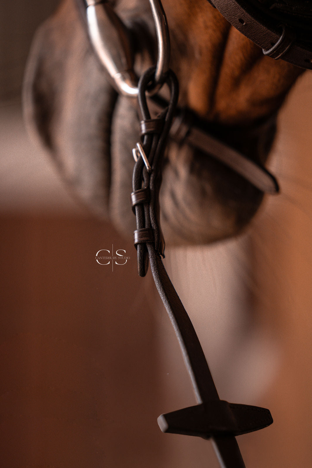 Bridle Milano