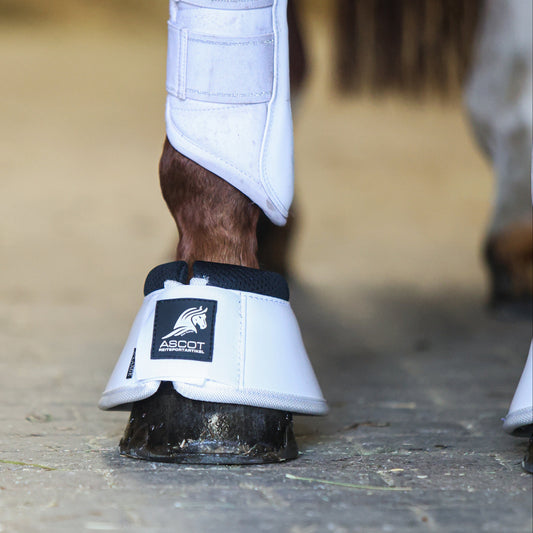 Weiße Hufglocke mit stoßdämpfendem Neopren Rand und doppeltem Klettverschluss von der Marke Ascot Reitsportartikel.