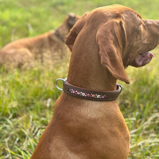 Dog collar with rhinestones inside