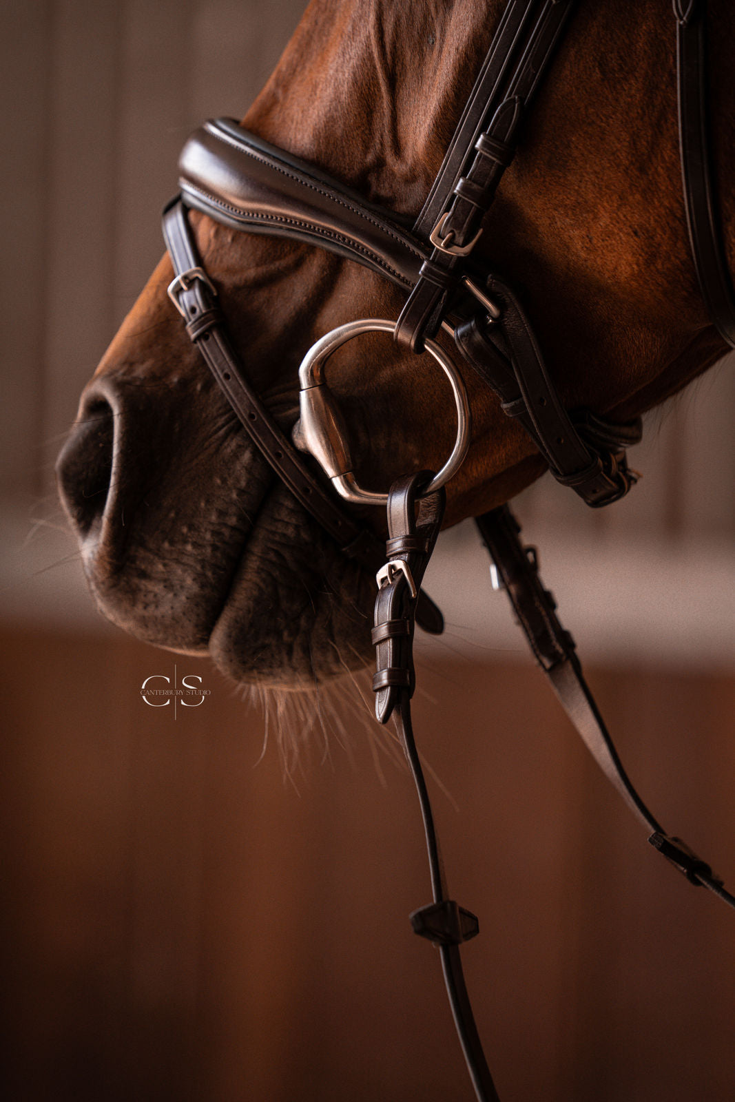 Bridle Milano