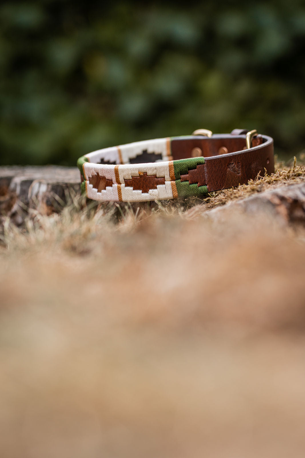 Dog collars in polo design