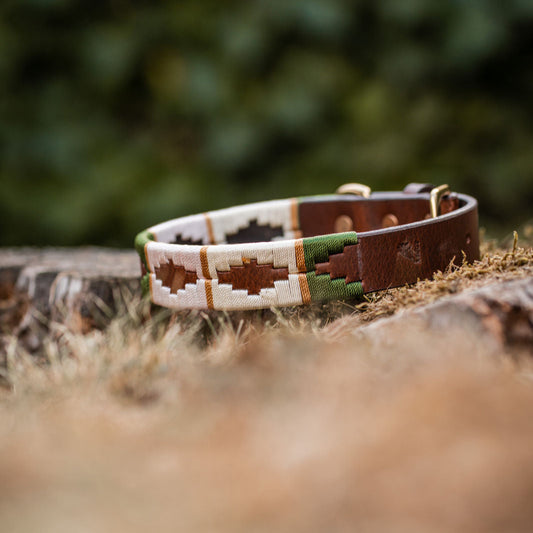 braune Hundehalsbänder im Polo-Design