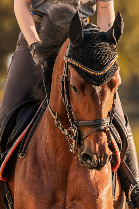 Bridle Aachen