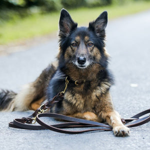 Hundeleine geflochten