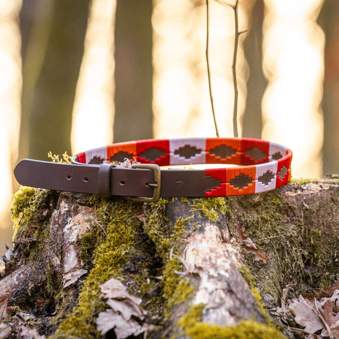 brauner Gürtel im Polo-Design