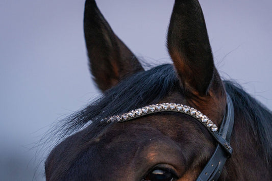 Stirnriemen Amour (Nr. 19.)