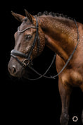 Bild in Galerie-Betrachter laden, Trense Dallas
