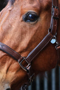 Bild in Galerie-Betrachter laden, Lederhalfter "Herzenspferd"
