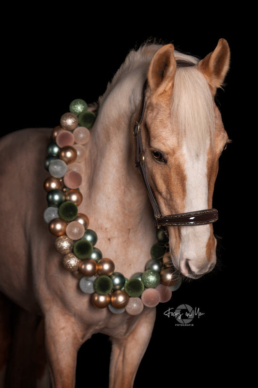 Lederhalfter Saint-Tropez