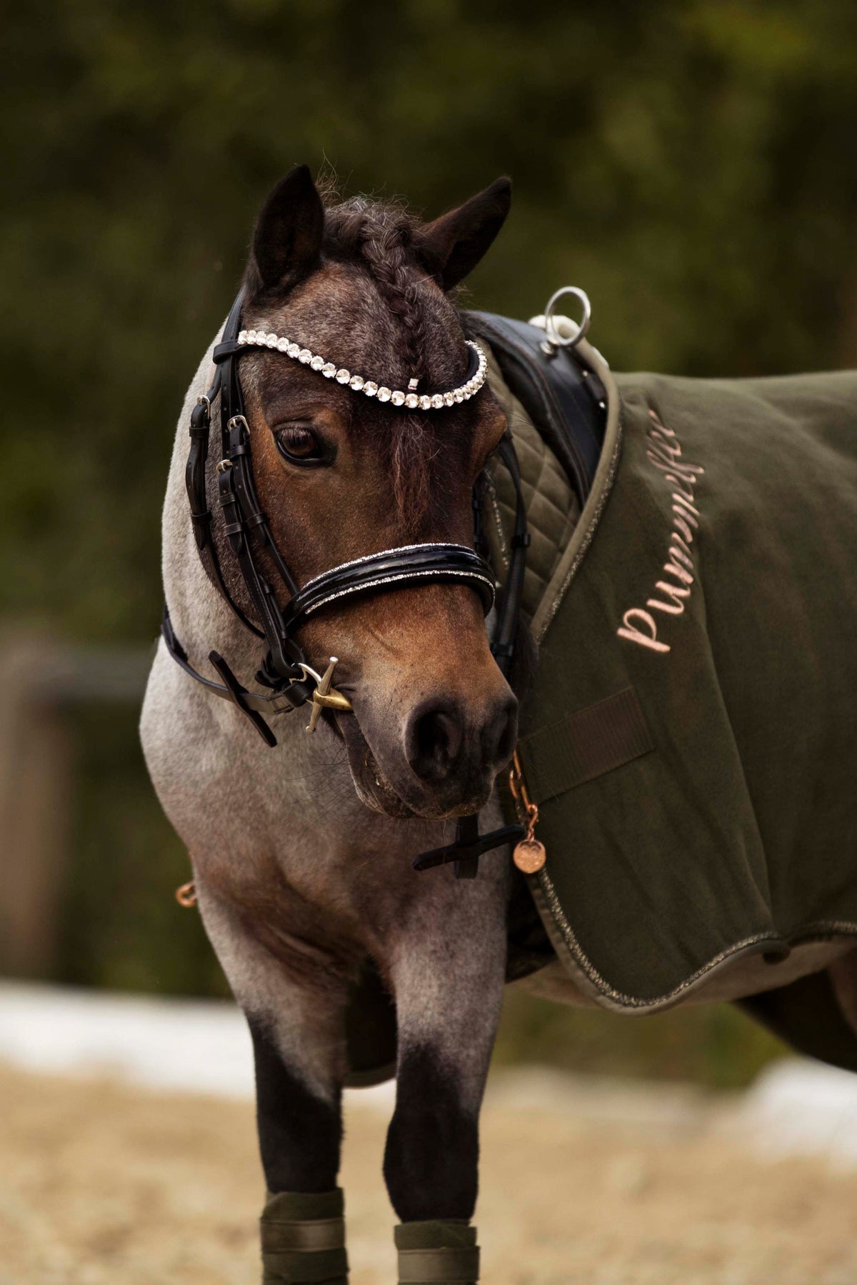 Bridles for the little ones
