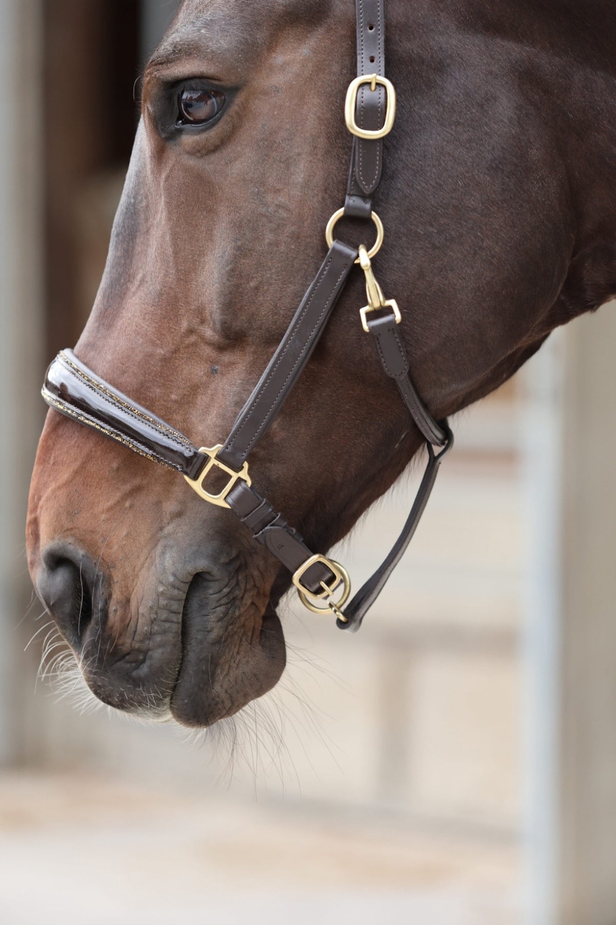 Leather halter Saint-Tropez