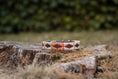 Load image into Gallery viewer, Dog collars in polo design
