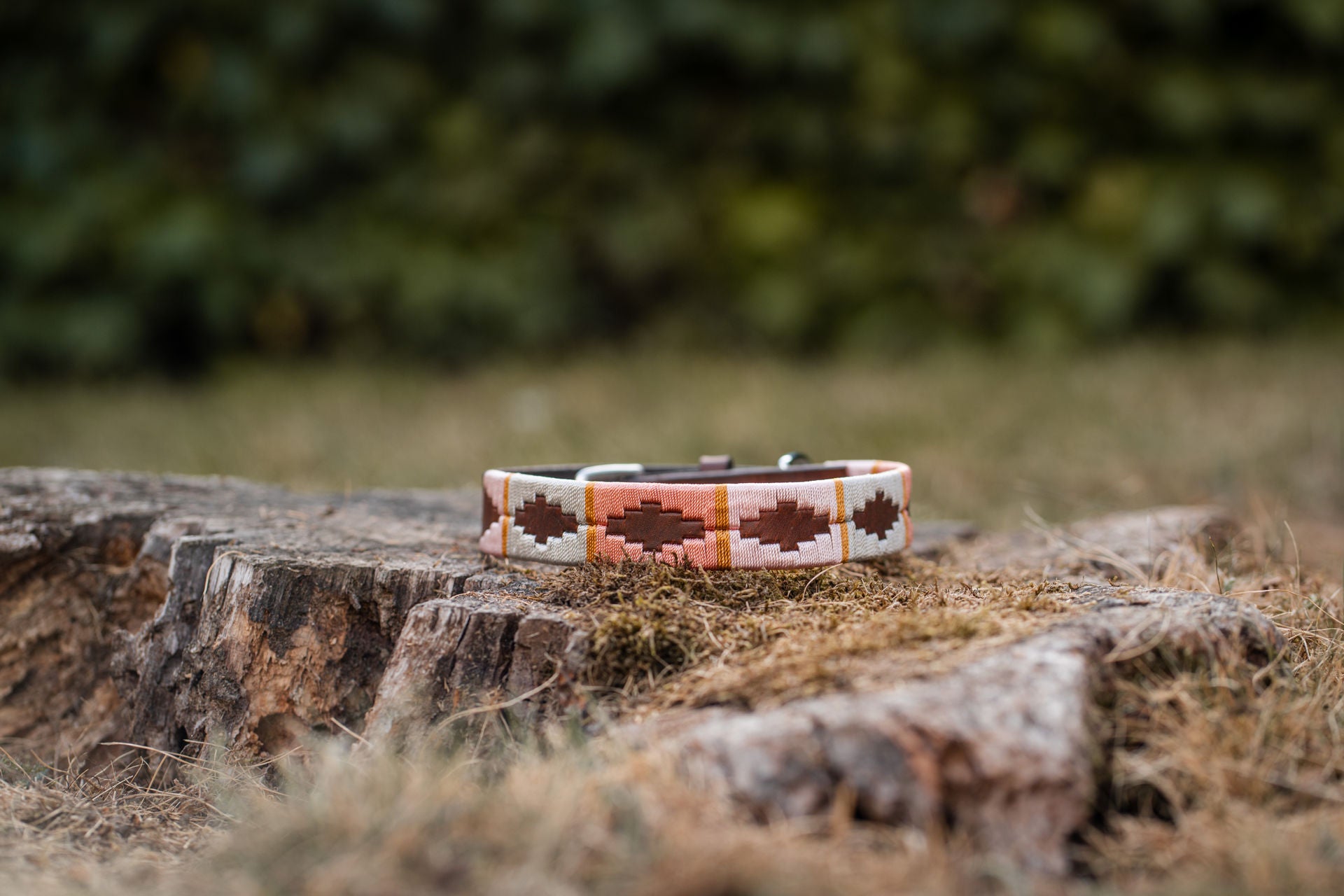 Dog collars in polo design