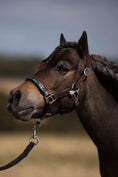 Load image into Gallery viewer, Leather halter with rhinestones inside for the little ones
