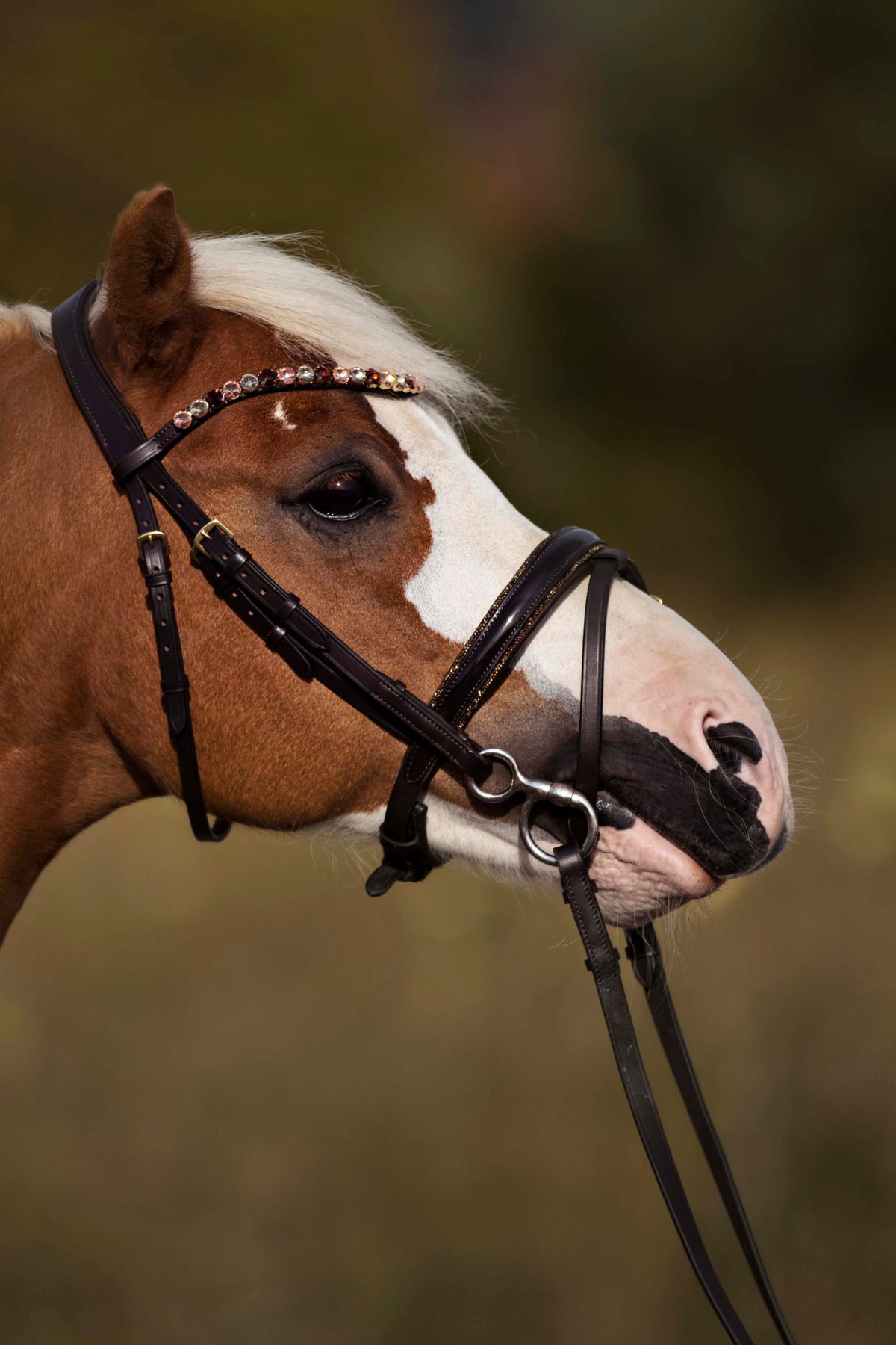 Bridles for the little ones