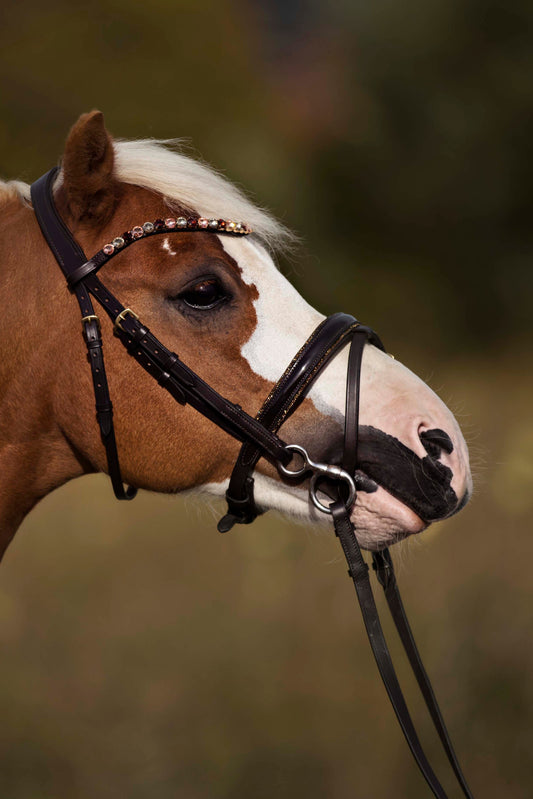 Bridles for the little ones