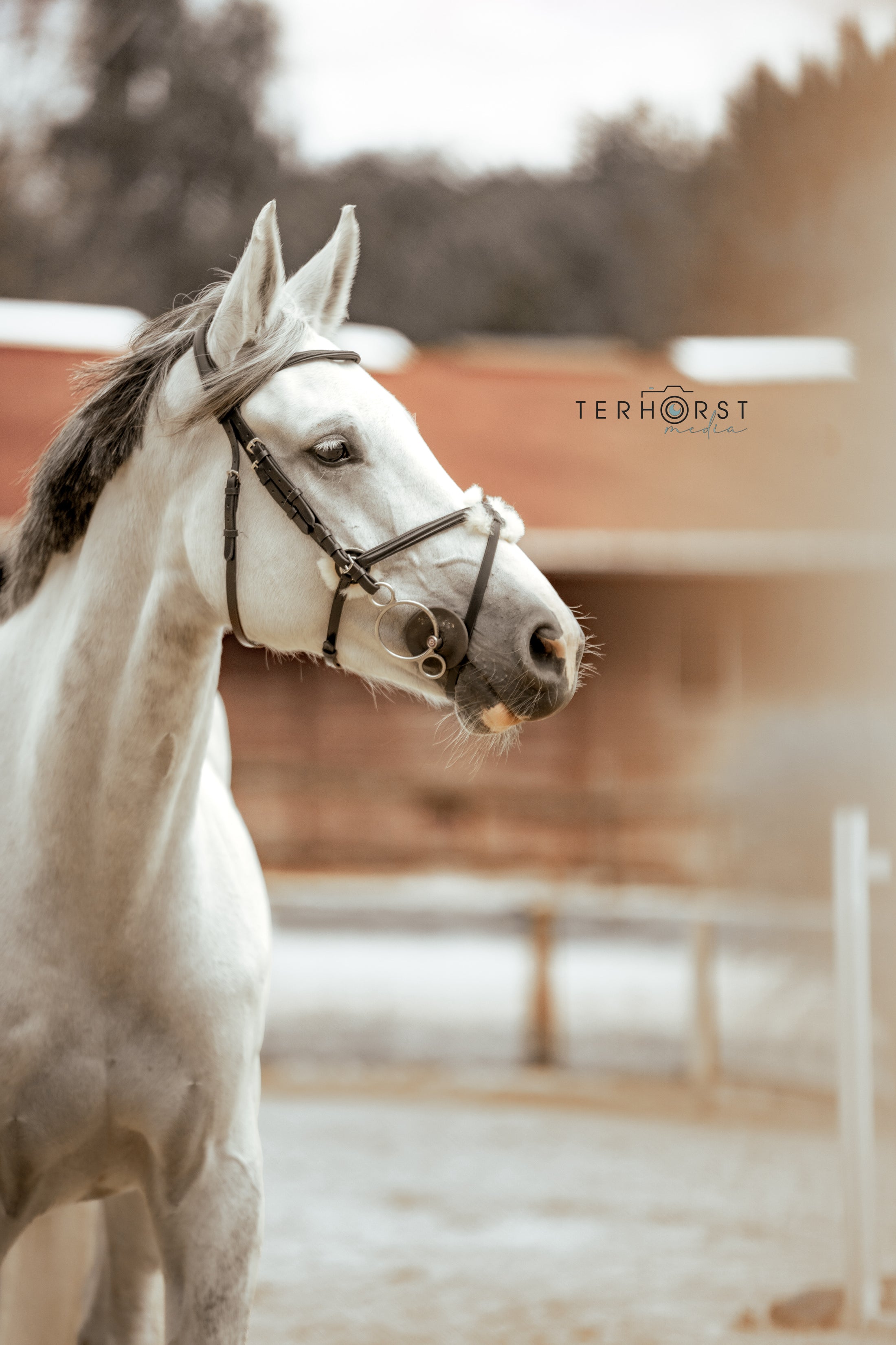 Trense Mexiko-City