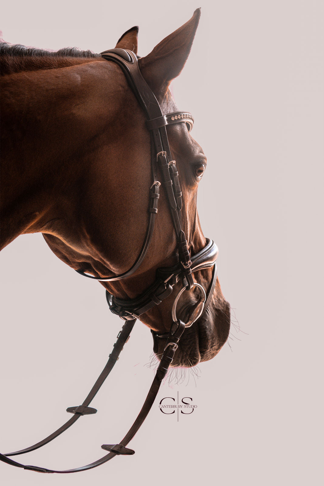 Bridle Milano