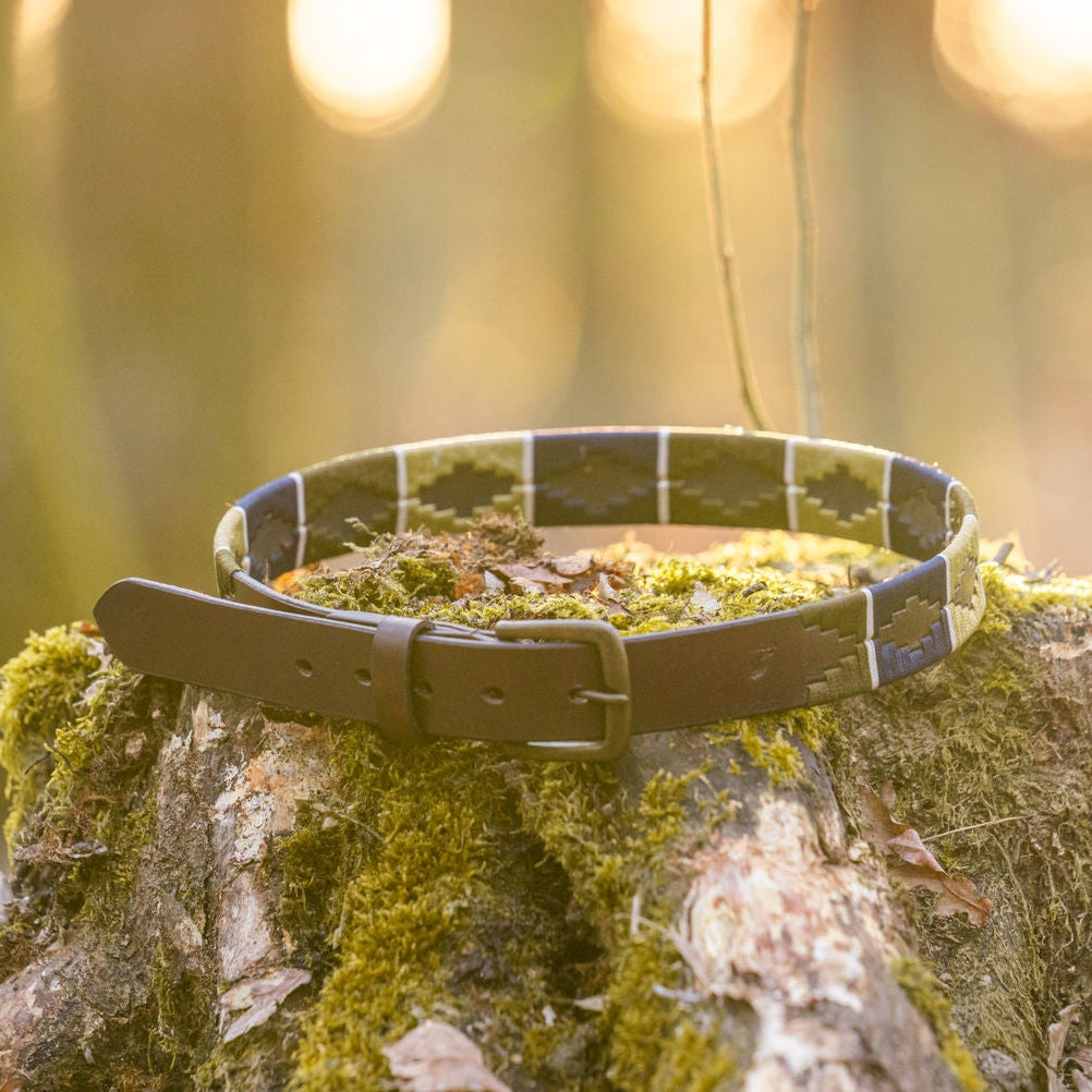 brauner Gürtel im Polo-Design